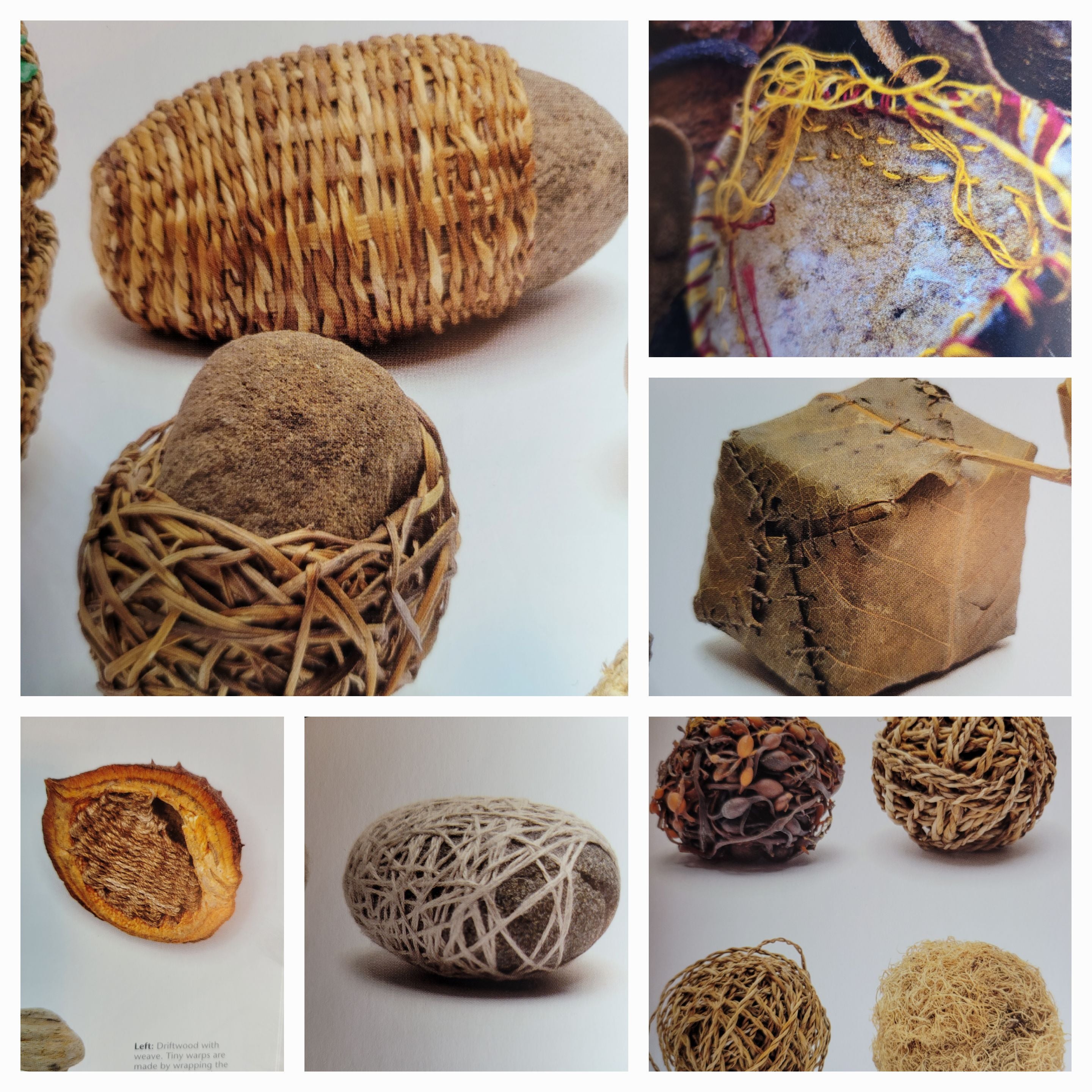 Wild Textiles Grown Foraged Found by Alice Fox Batsford Books New